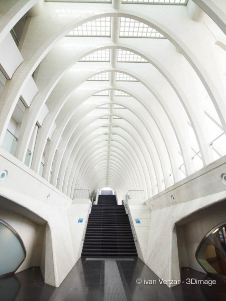 Gare des Guillemins