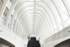 Gare des Guillemins