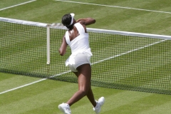 Wimbledon Serena Williams